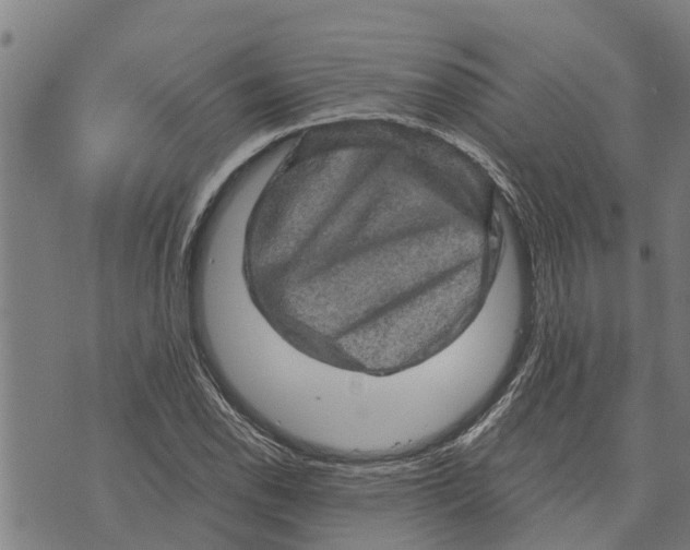 X0000073751118200608241340