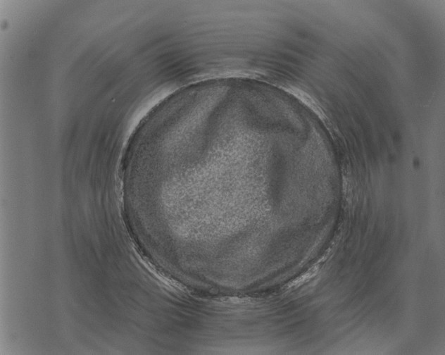 X0000073751119200608241340