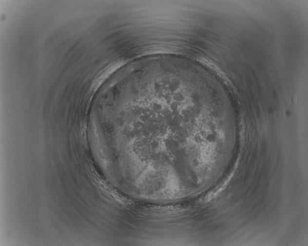 X0000073751121200608241340