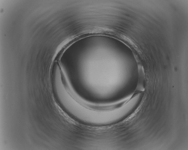 X0000073751122200608241340