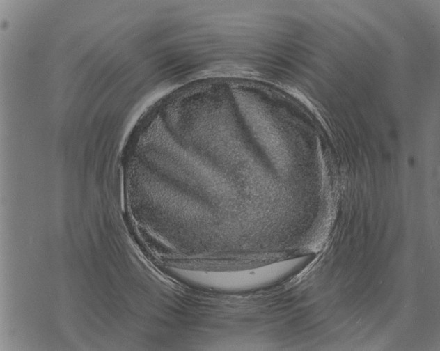 X0000073751123200608241340