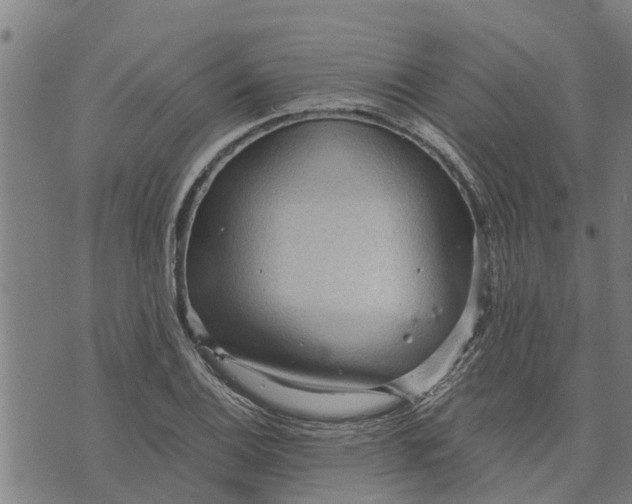 X0000073751124200608241340