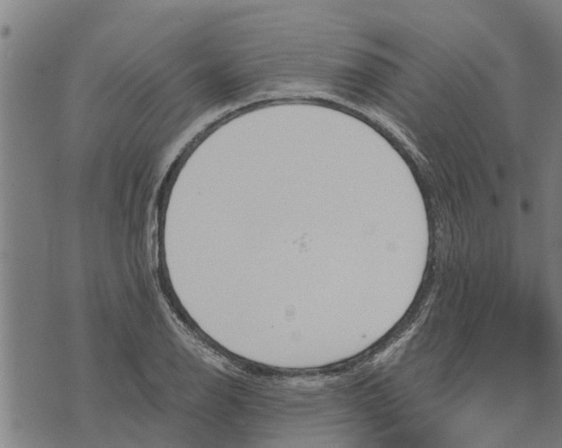 X0000073751126200608241340