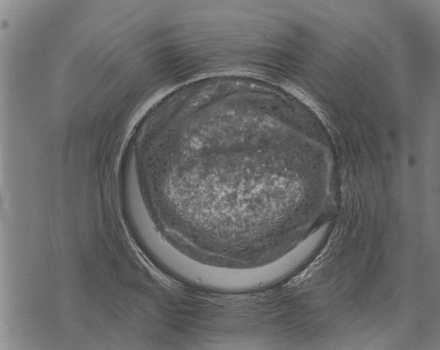 X0000073751127200608241340