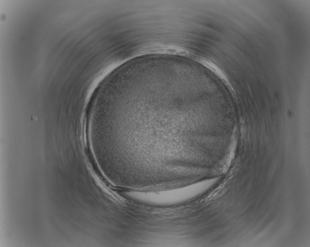 X0000073751128200608241340