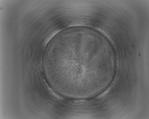 X0000073751129200608241340