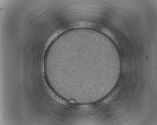 X0000073751130200608241340