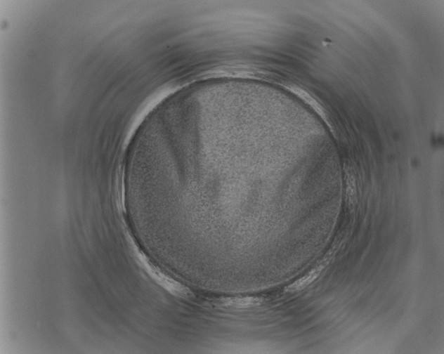 X0000073751131200608241340