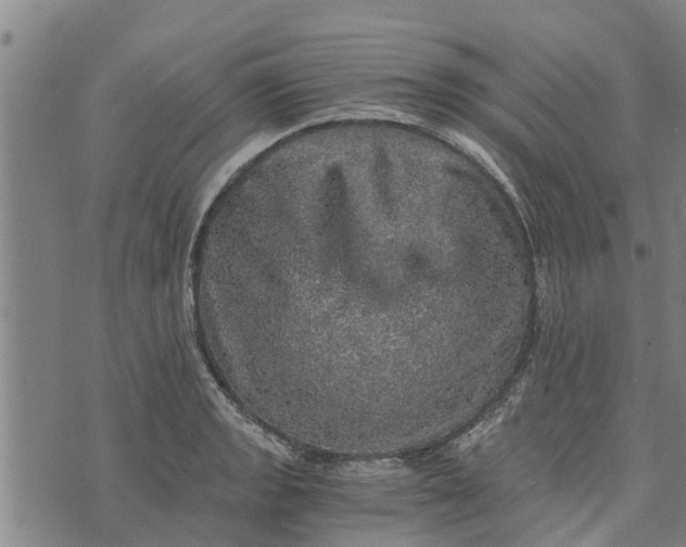 X0000073751133200608241340