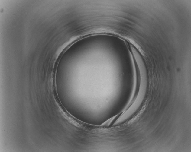 X0000073751134200608241340