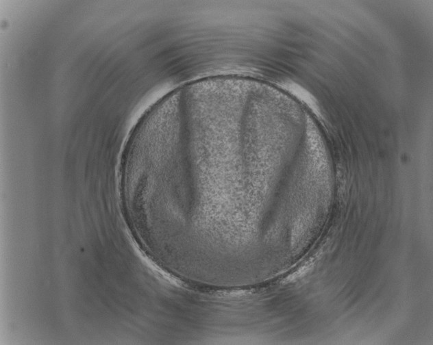 X0000073751135200608241340