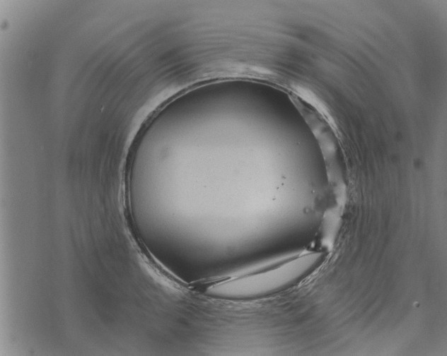 X0000073751136200608241340