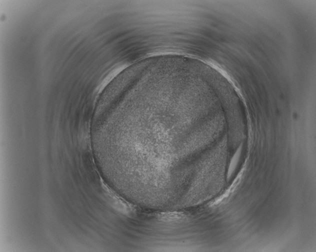 X0000073751137200608241340