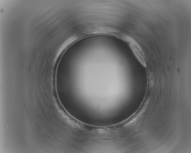 X0000073751138200608241340