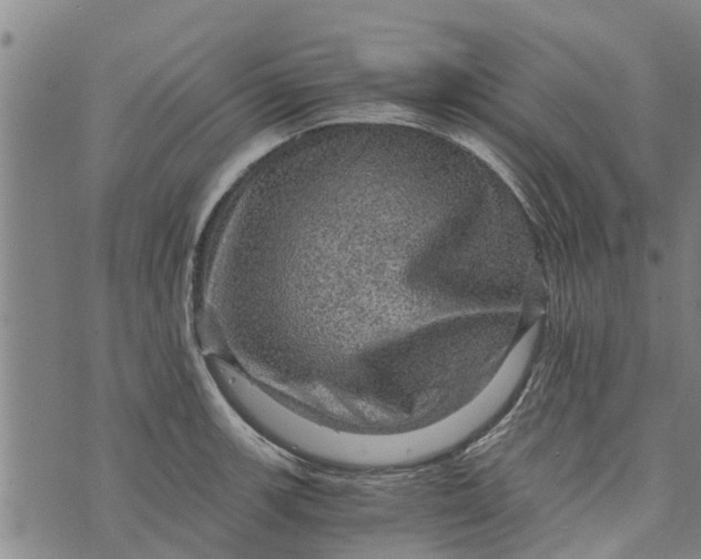 X0000073751139200608241340