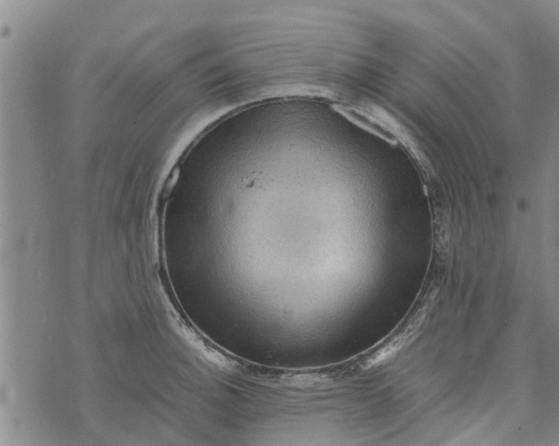 X0000073751140200608241340