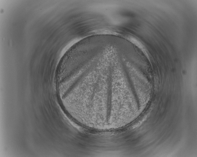 X0000073751141200608241340