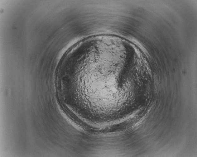 X0000073751142200608241340