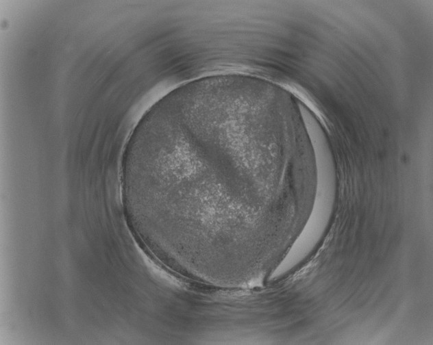 X0000073751143200608241340