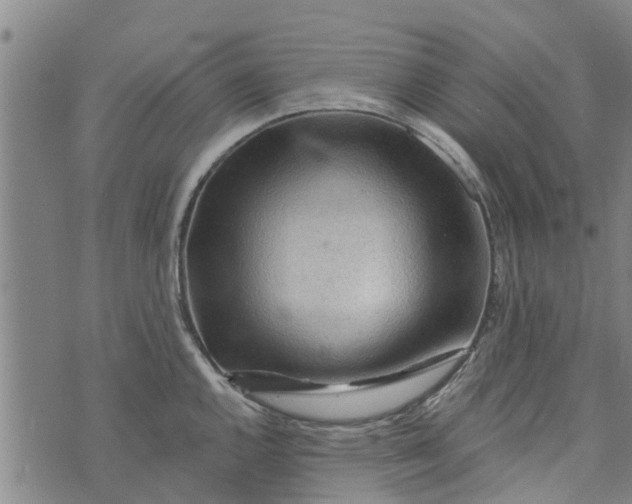 X0000073751144200608241340