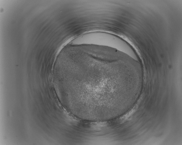 X0000073751145200608241340