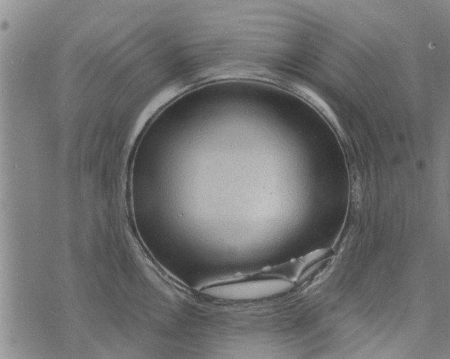 X0000073751146200608241340