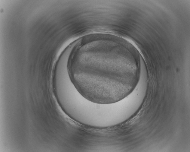 X0000073751147200608241341