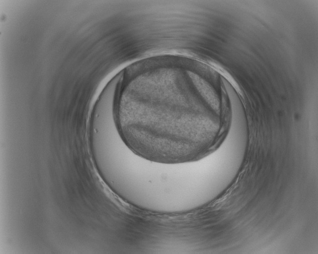 X0000073751148200608241341