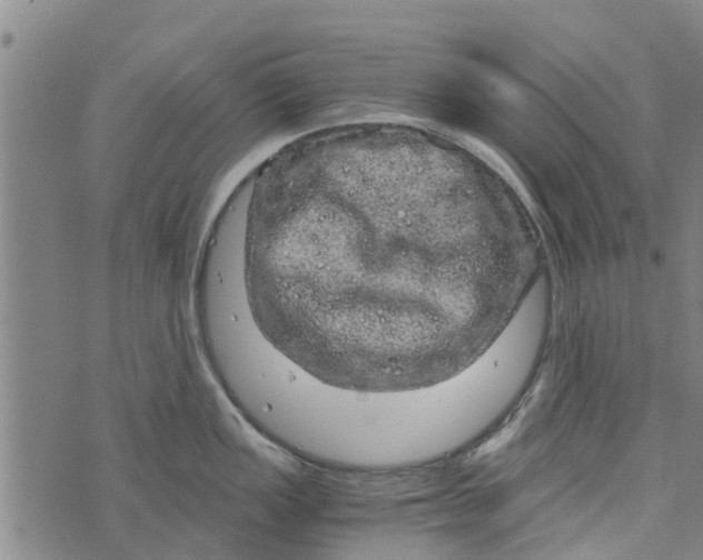 X0000073751149200608241341