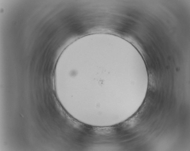 X0000073751150200608241341