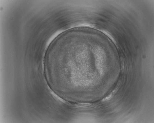 X0000073751151200608241341