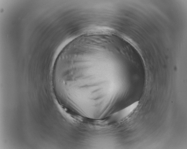 X0000073751152200608241341