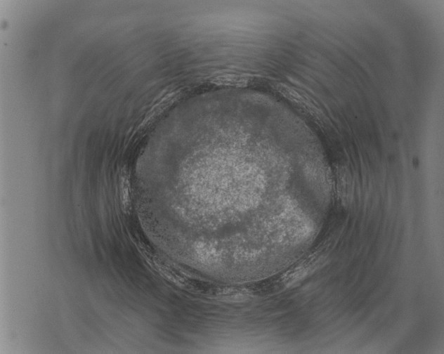 X0000073751154200608241340