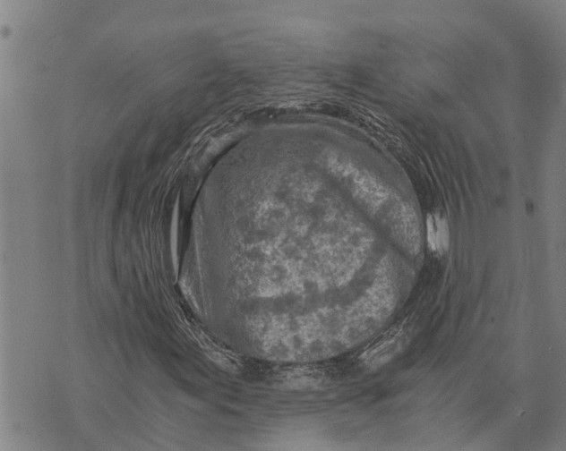 X0000073751155200608241340