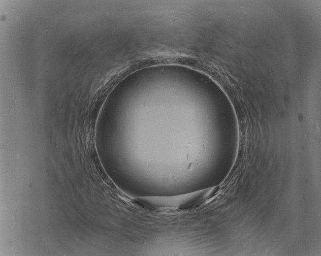 X0000073751157200608241340