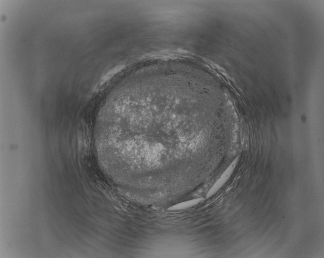 X0000073751158200608241340