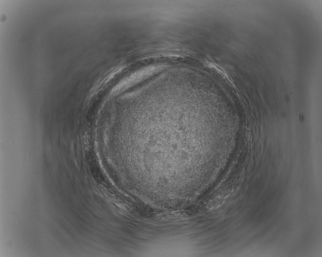 X0000073751159200608241340