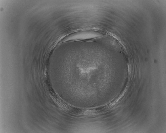 X0000073751161200608241340