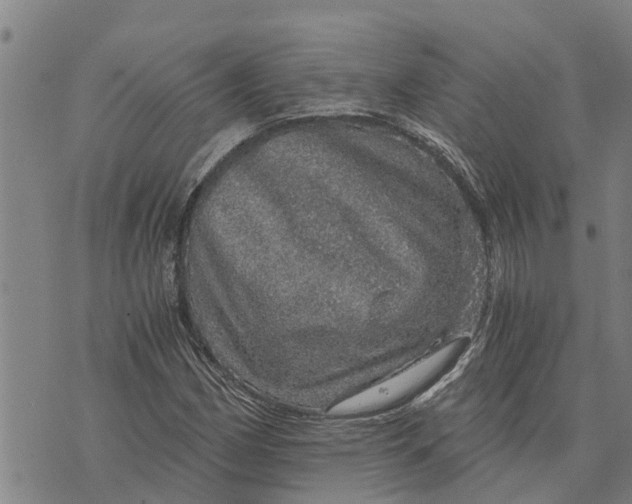 X0000073751162200608241340