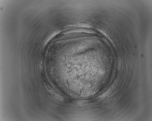 X0000073751163200608241340