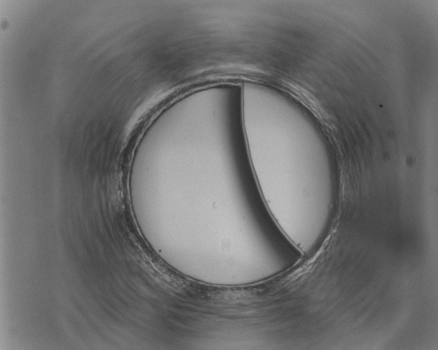 X0000073751164200608241340