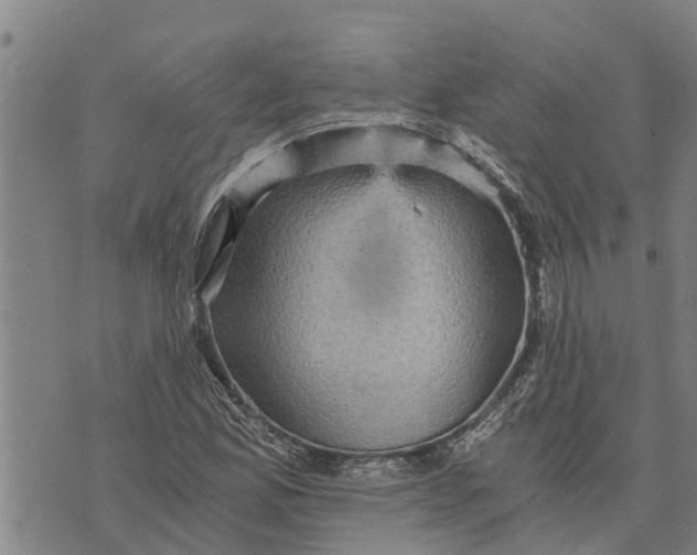 X0000073751165200608241340