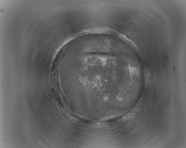 X0000073751166200608241340