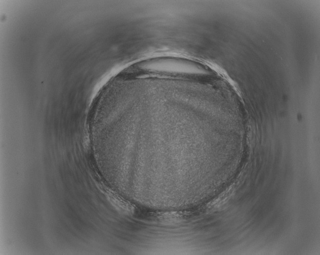 X0000073751167200608241340