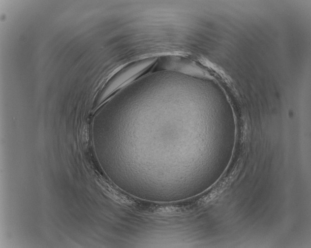 X0000073751169200608241340