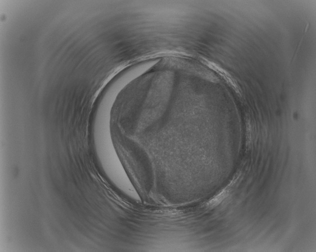 X0000073751170200608241340