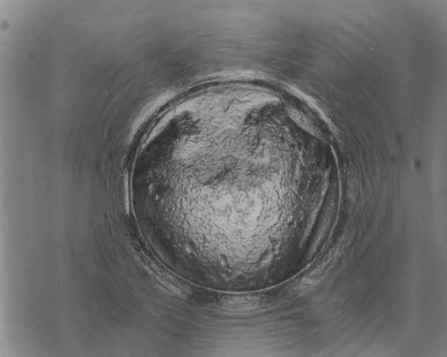 X0000073751171200608241340