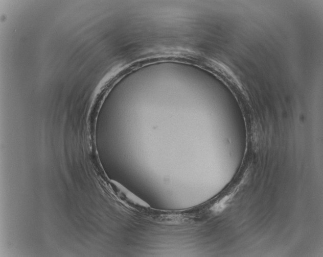 X0000073751172200608241340