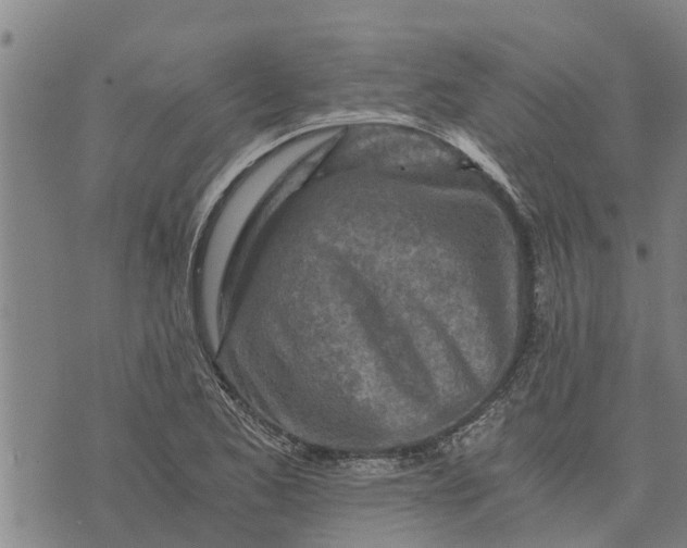 X0000073751173200608241339