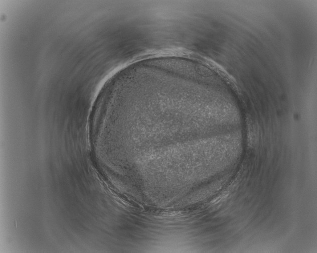 X0000073751174200608241339